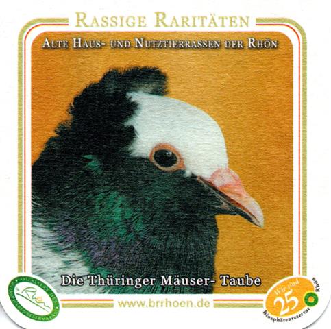 kaltennordheim wak-th rhoenbier rassige 4b (quad180-die thringer muser taube)